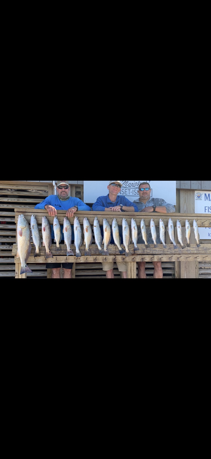 Three anglers behind a full rack of redfish and speckled trout at Sunset Island