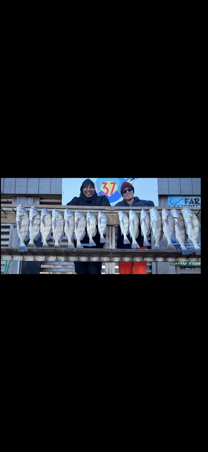 Two women behind a rack of fish